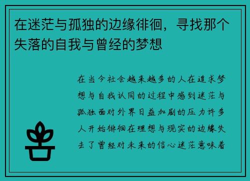 在迷茫与孤独的边缘徘徊，寻找那个失落的自我与曾经的梦想